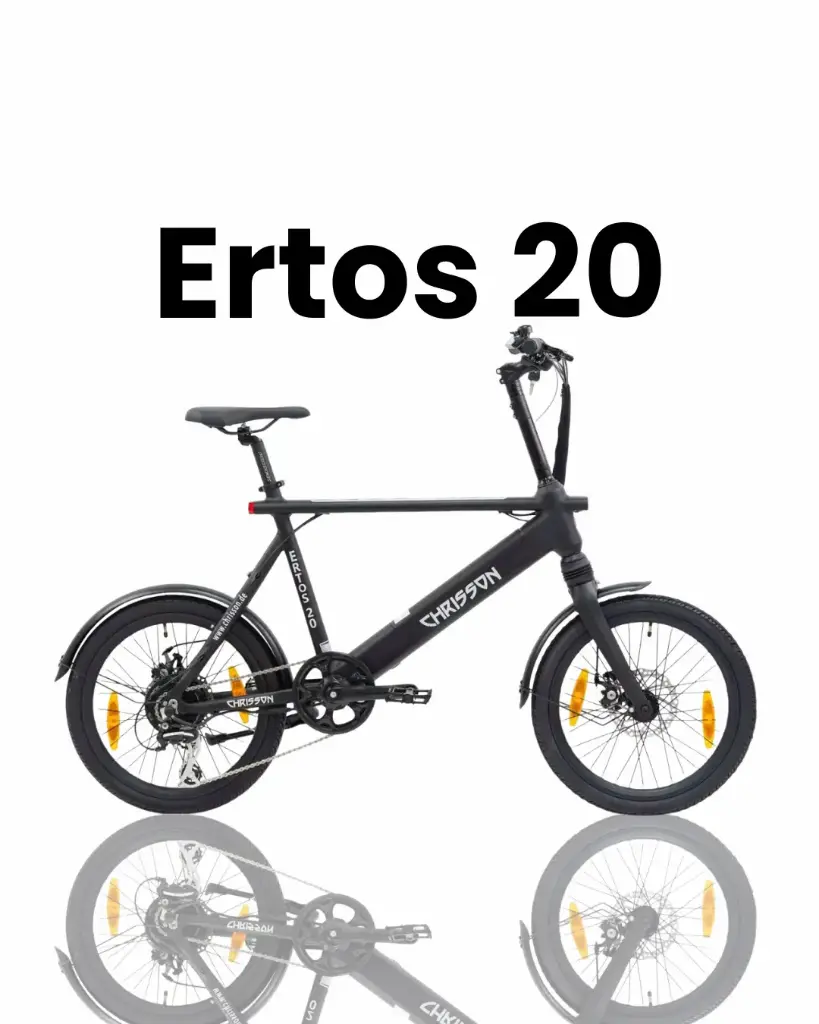 Ertos 20"