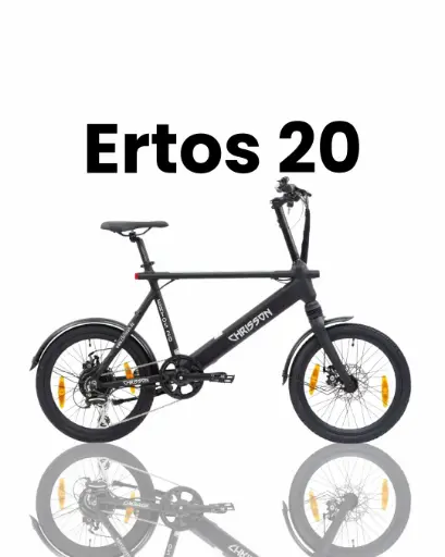 Ertos 20"