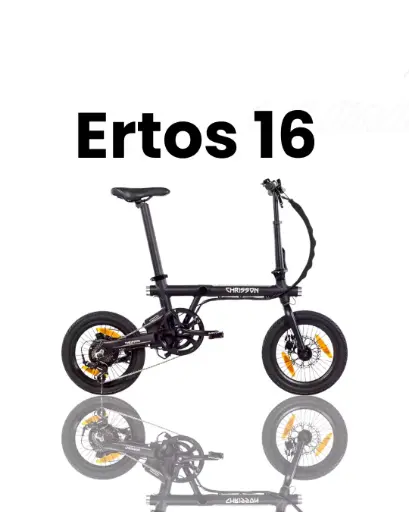Ertos 16"